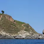 公寓式酒店 Sol 滨海巴纽尔斯