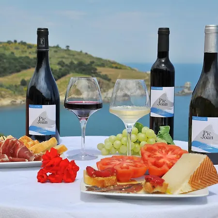 Logis Solhotel Banyuls-sur-Mer