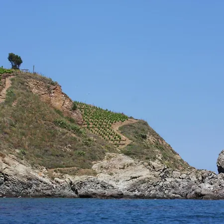 Hotel Logis Solhotel Banyuls-sur-Mer